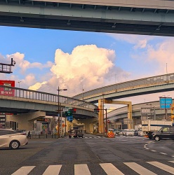 今朝の青空。